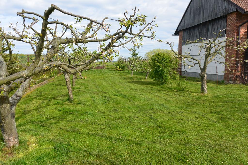 Rodinné ubytování - Family accommodation Kobylice Esterno foto